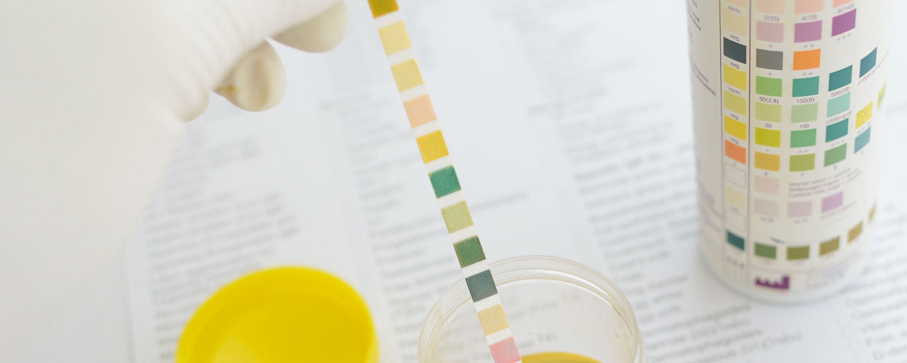 Brisbane Wellness Assessment - Urine Analysis