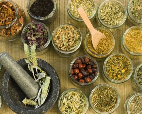 The Healing Power of Herbs